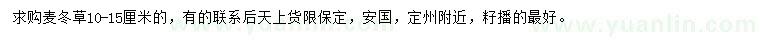 求購10-15公分麥冬草