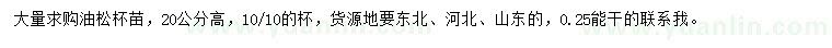 求購高20公分油松