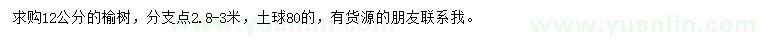 求購12公分榆樹