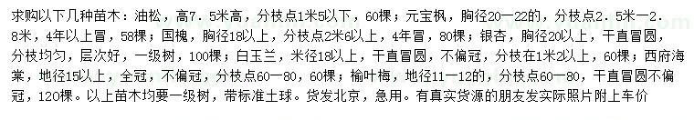 求購(gòu)油松、元寶楓、國(guó)槐等