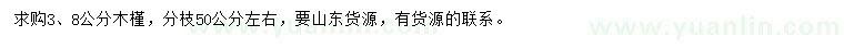 求購3、8公分木槿