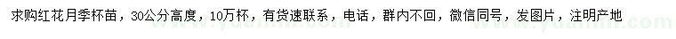 求購(gòu)高30公分紅花月季杯苗