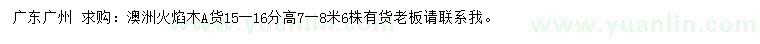 求購15-16公分澳洲火焰木