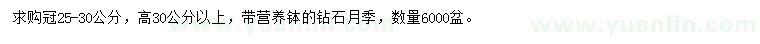 求購冠25-30公分鉆石月季