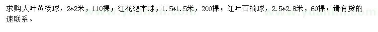 求購大葉黃楊球、紅花繼木球、紅葉石楠球