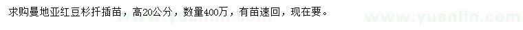 求購高20公分曼地亞紅豆杉