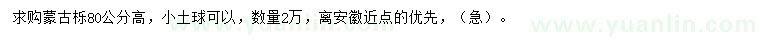 求購高80公分蒙古櫟