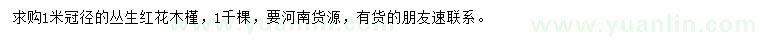 求購冠徑1米叢生紅花木槿