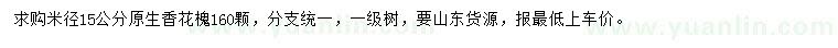 求購米徑15公分香花槐