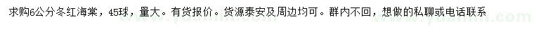 求購6公分冬紅海棠