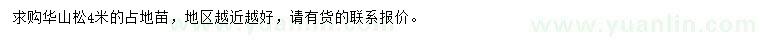 求購4米華山松
