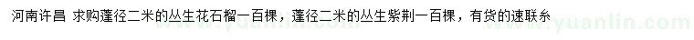 求購蓬徑2米叢生花石榴、叢生紫荊