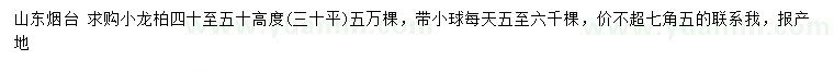 求購高度40-50公分小龍柏