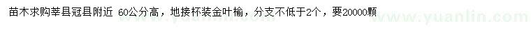 求購高60公分金葉榆