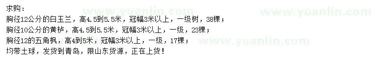 求購白玉蘭、黃櫨、五角楓等