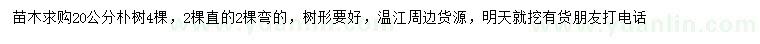 求購20公分樸樹