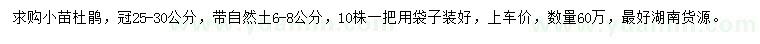 求購冠25-30公分杜鵑小苗