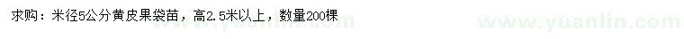 求購(gòu)米徑5公分黃皮果袋苗
