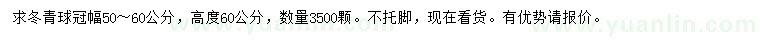 求購冠幅50-60公分冬青球