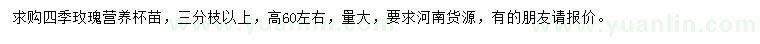求購高60公分左右四季玫瑰