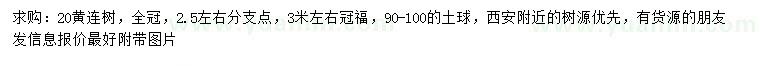 求購(gòu)20公分黃連樹(shù)