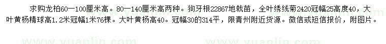 求購(gòu)龍柏、狗牙根、繡線(xiàn)菊等