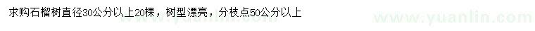 求購直徑30公分以上石榴樹