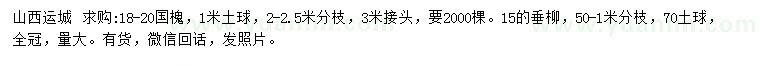 求購(gòu)18-20公分國(guó)槐、15公分垂柳
