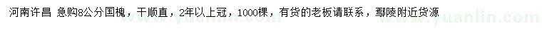求購8公分國槐