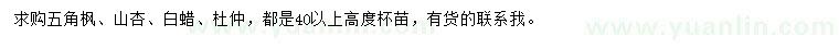 求購五角楓、山杏、白蠟等