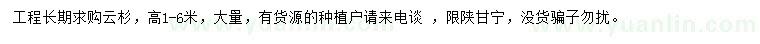 求購高1-6米云杉