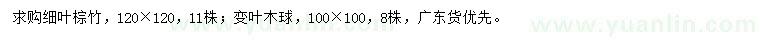 求購120×120細(xì)葉棕竹、100×100變?nèi)~木球