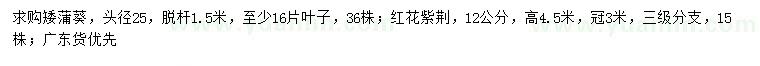 求購(gòu)頭徑25公分矮蒲葵、12公分紅花紫荊