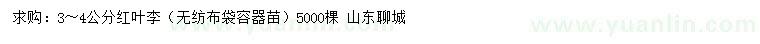 求購3～4公分紅葉李