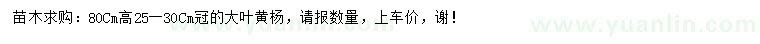 求購高80公分大葉黃楊