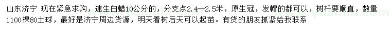 求購10公分速生白蠟的