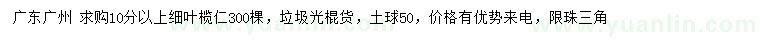 求購10公分以上細(xì)葉欖仁