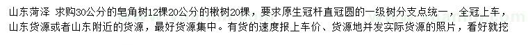 求購30公分皂角樹、20公分楸樹