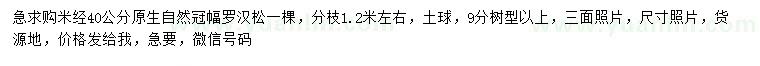 求購米徑40公分羅漢松