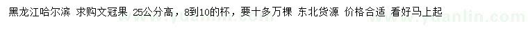 求購高25公分文冠果