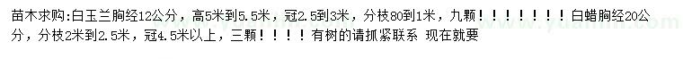 求購胸徑12公分白玉蘭、20公分白蠟