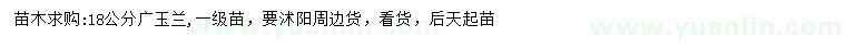 求購18公分廣玉蘭