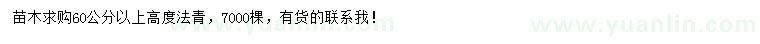 求購高度60公分以上法青