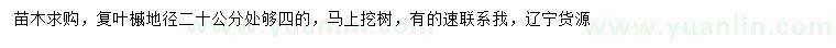 求購地徑20公分處量4公分復葉槭