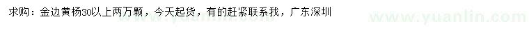 求購金30公分以上邊黃楊