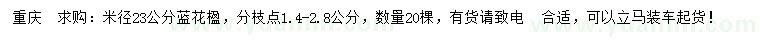 求購米徑23公分藍(lán)花楹