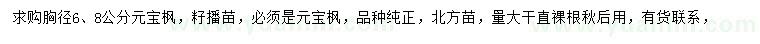 求購(gòu)胸徑6、8公分元寶楓