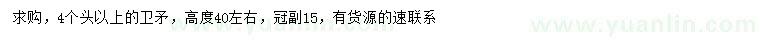 求購高40公分左右衛(wèi)矛