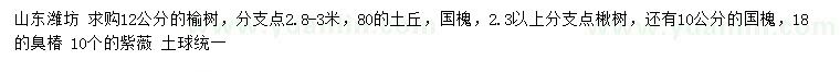 求購榆樹、國槐、臭椿等