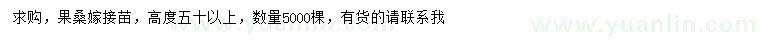 求購高度50公分以上果桑嫁接苗